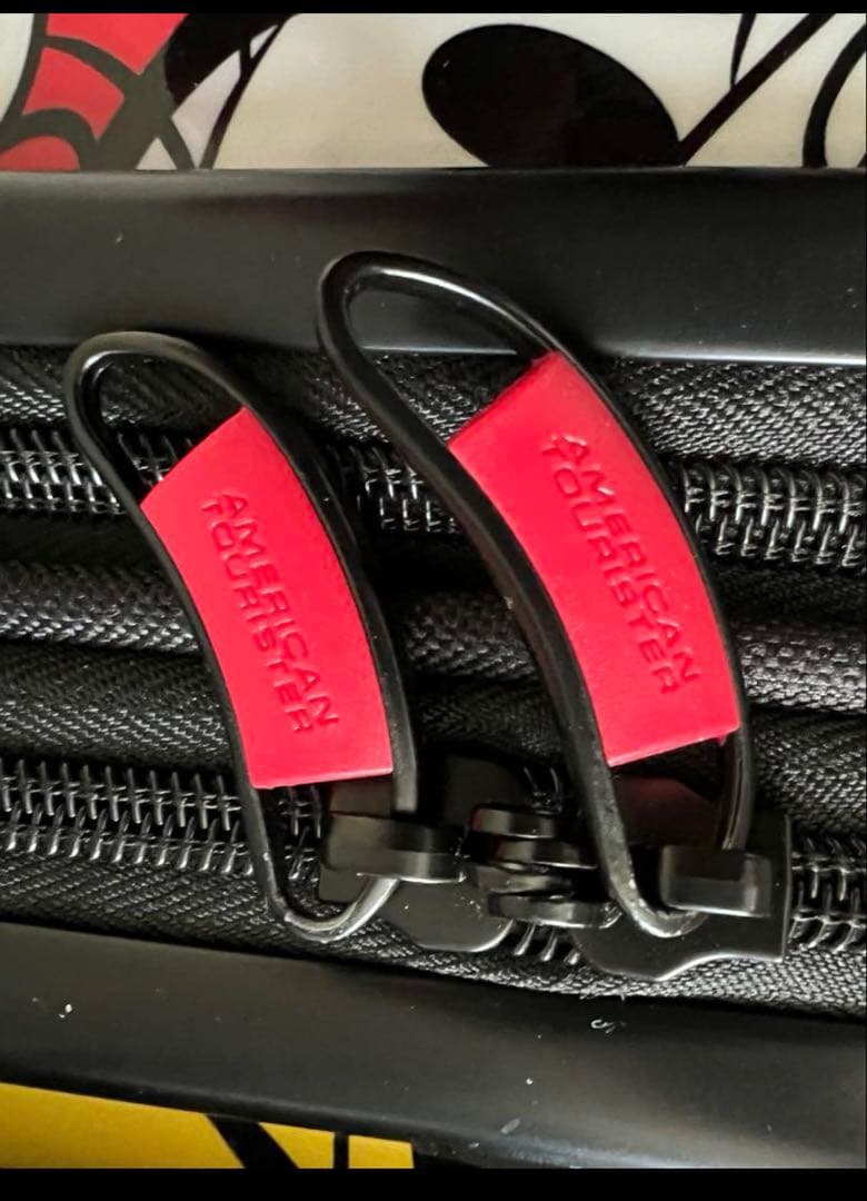 ディズニー ミニー キャリーケース 2点セット