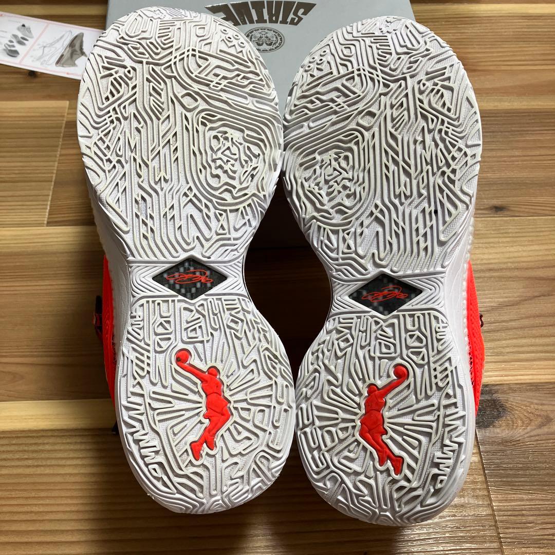 Nike LEBRON 20 prm 花柄　26.5cm