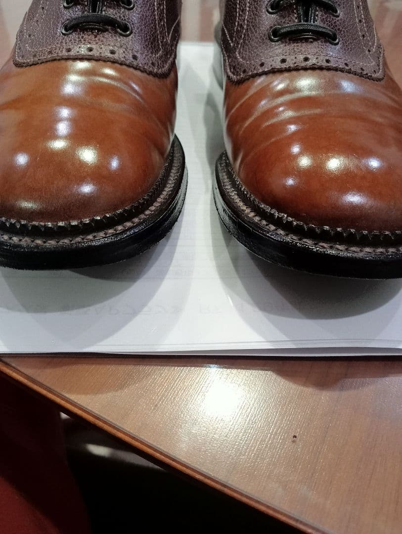 コードバン　シェットランドフォックス25.0