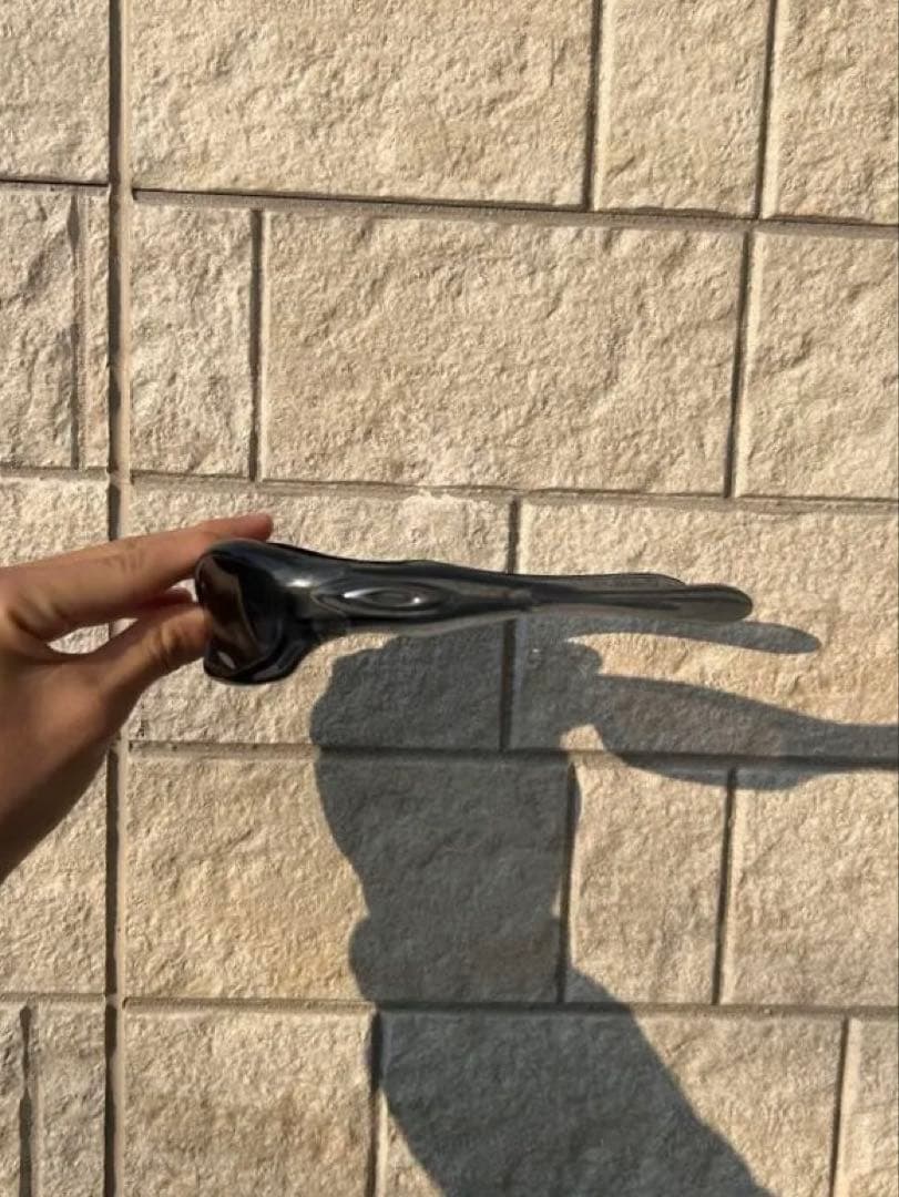 Oakley モンスタードッグ 05-020 艶ありブラック y2k 廃盤