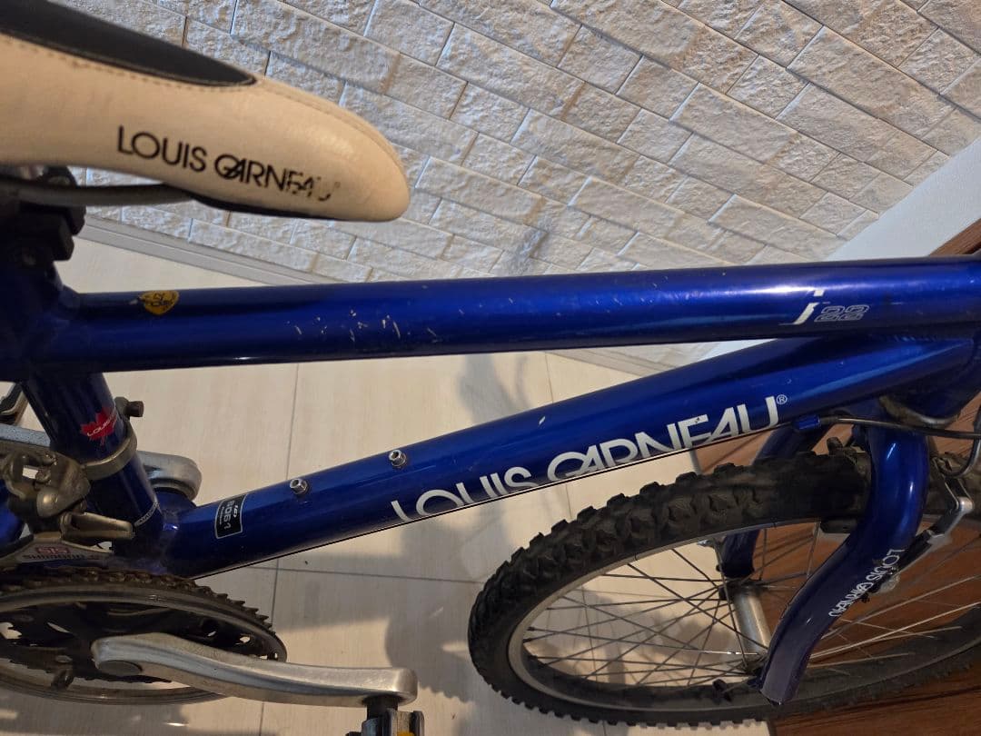 あかみや♪ ルイガノ LOUIS GARNEAU 22インチ（キッズ）