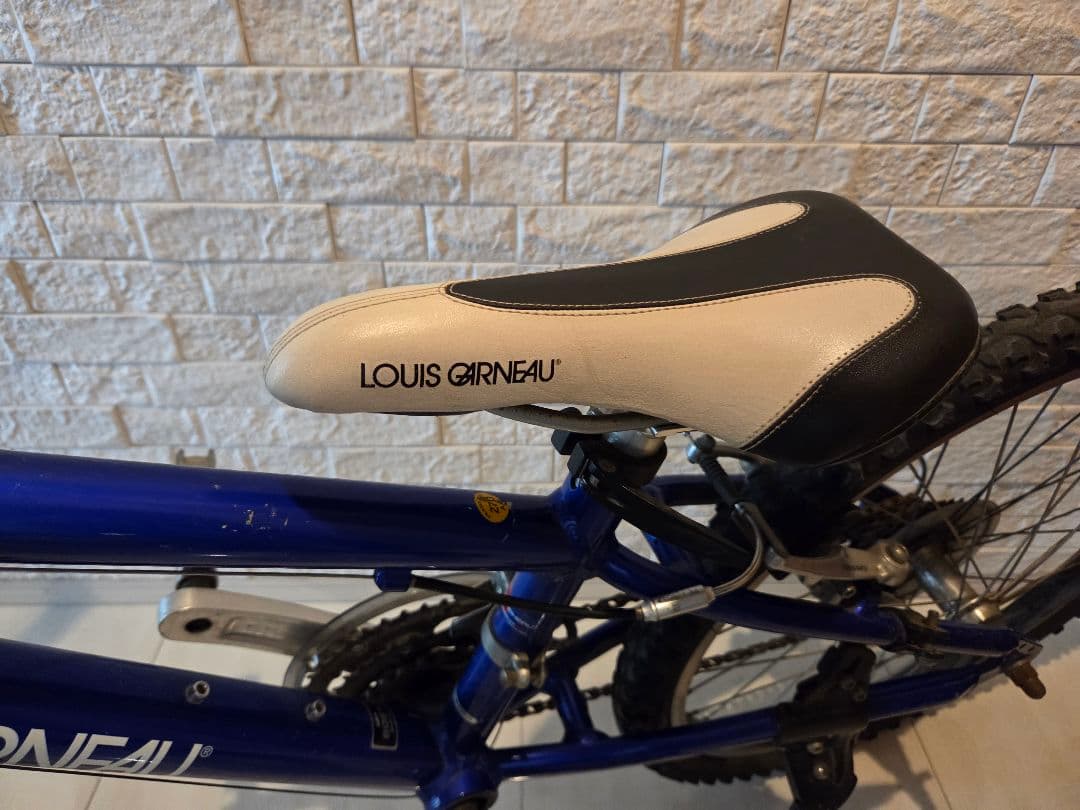 あかみや♪ ルイガノ LOUIS GARNEAU 22インチ（キッズ）