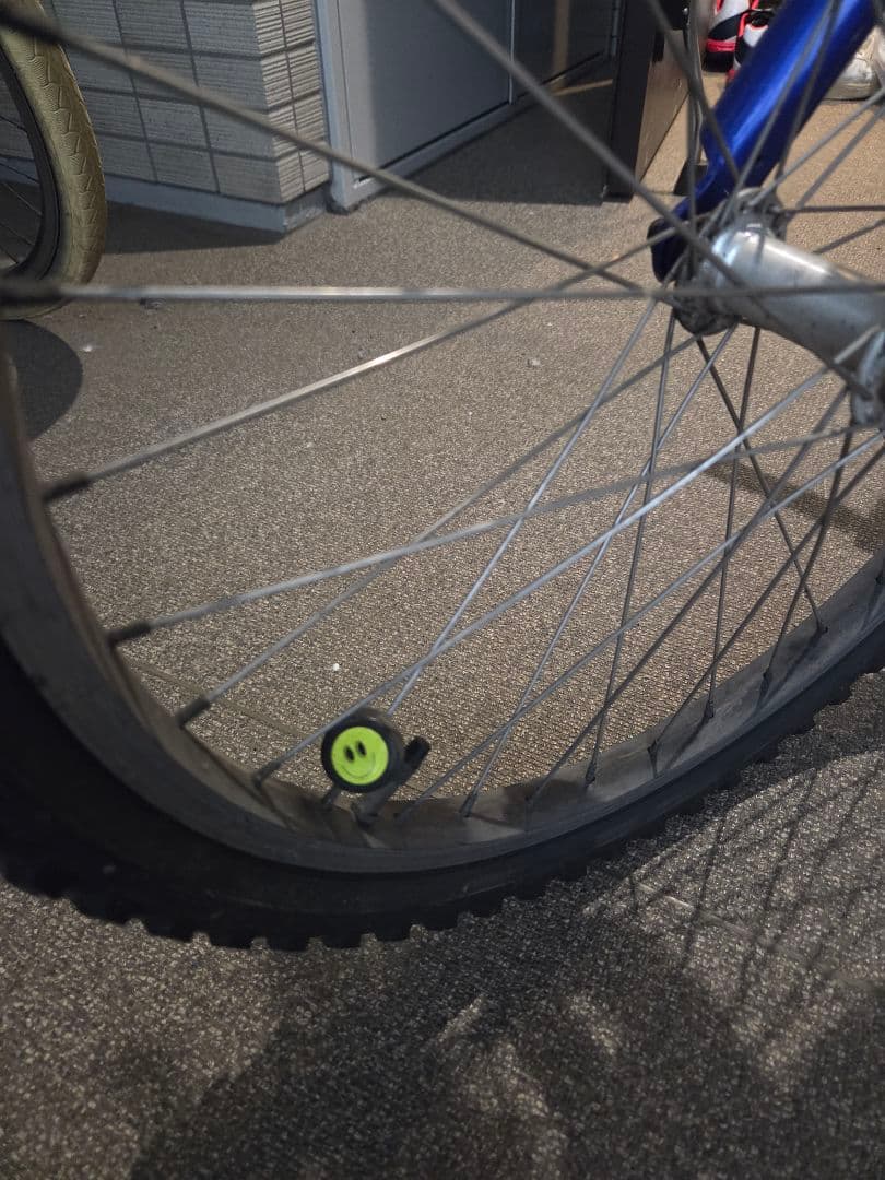 あかみや♪ ルイガノ LOUIS GARNEAU 22インチ（キッズ）