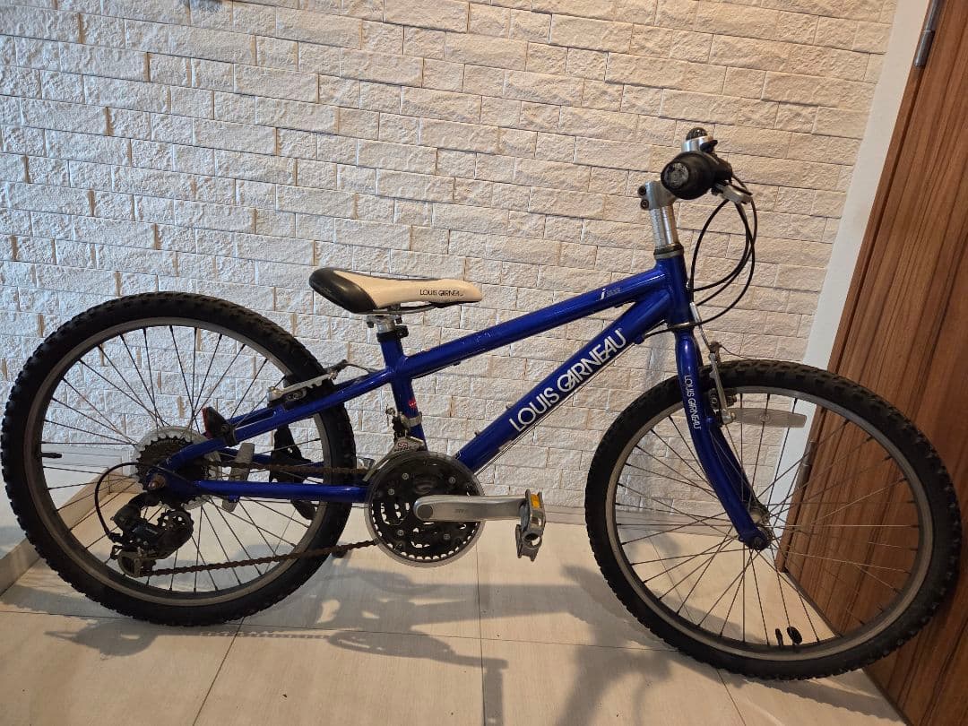 あかみや♪ ルイガノ LOUIS GARNEAU 22インチ（キッズ）