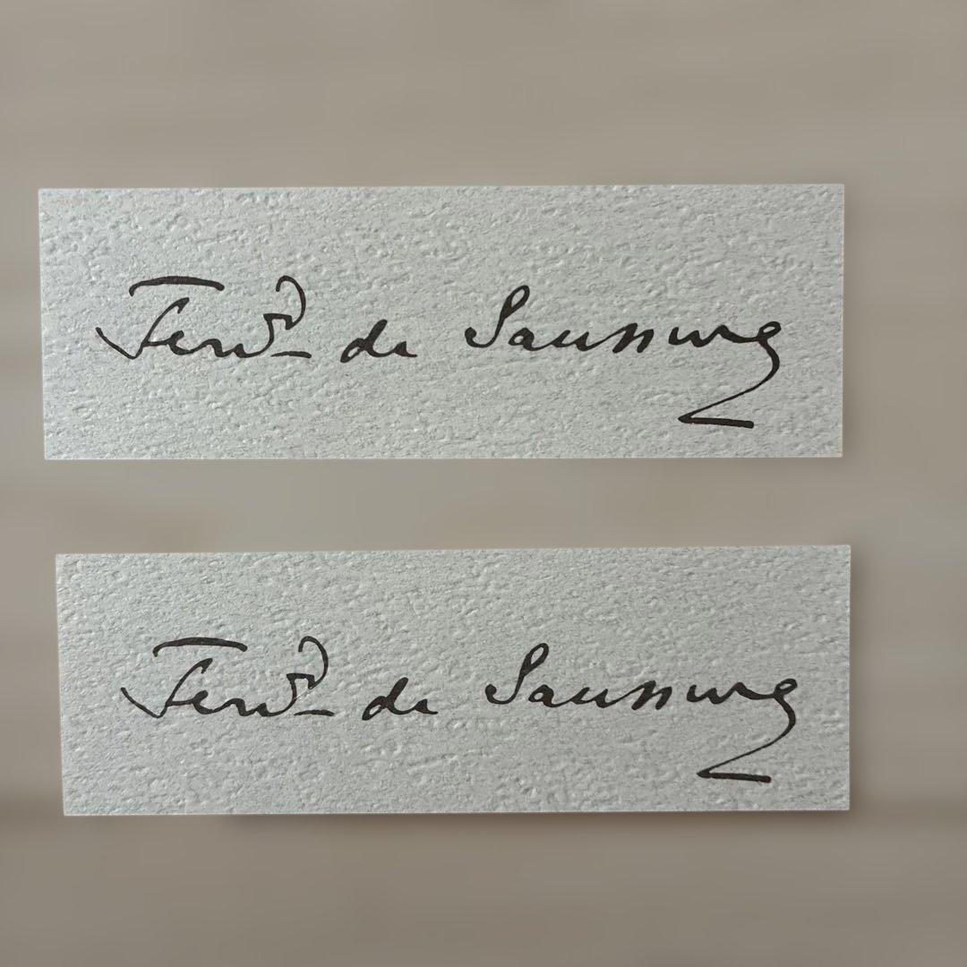 【おまけ付き】ソシュール一般言語学講義ほか3冊