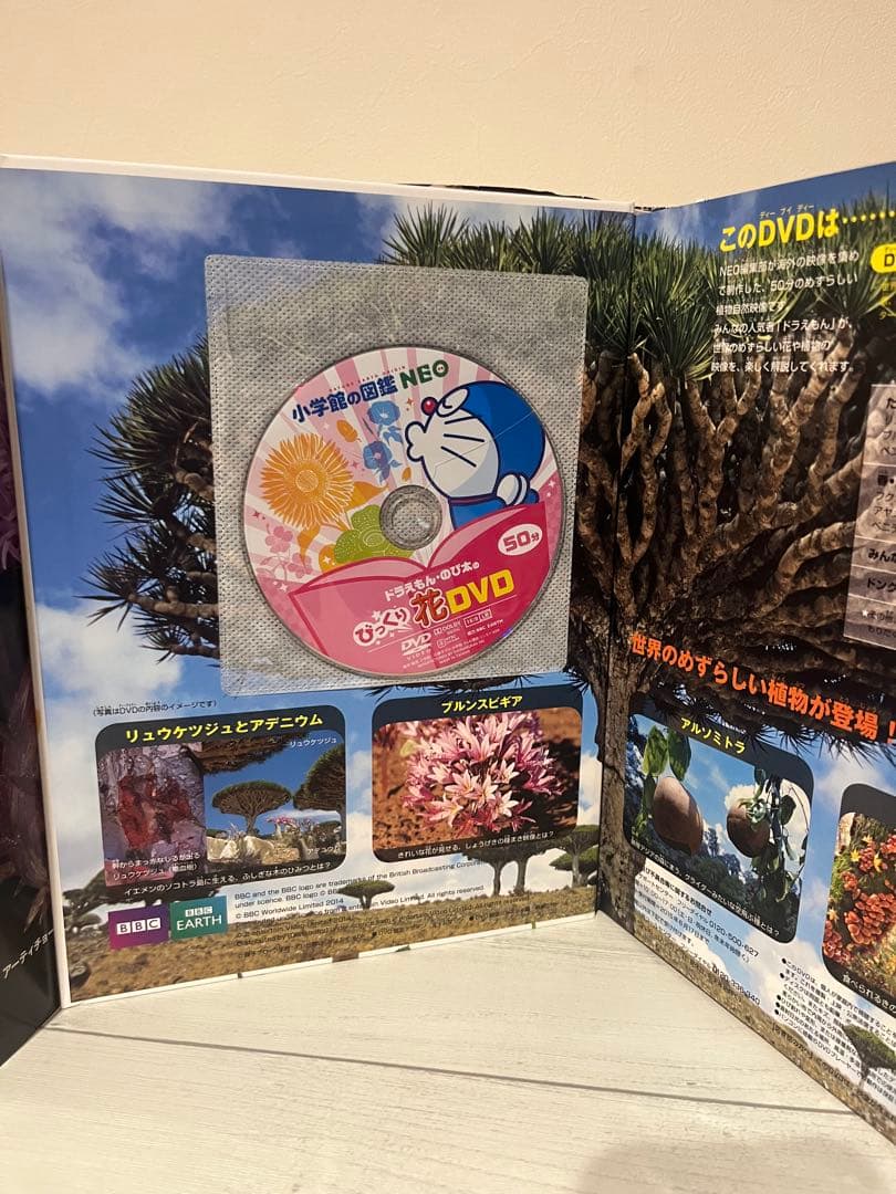 小学館の図鑑NEOセット１８冊