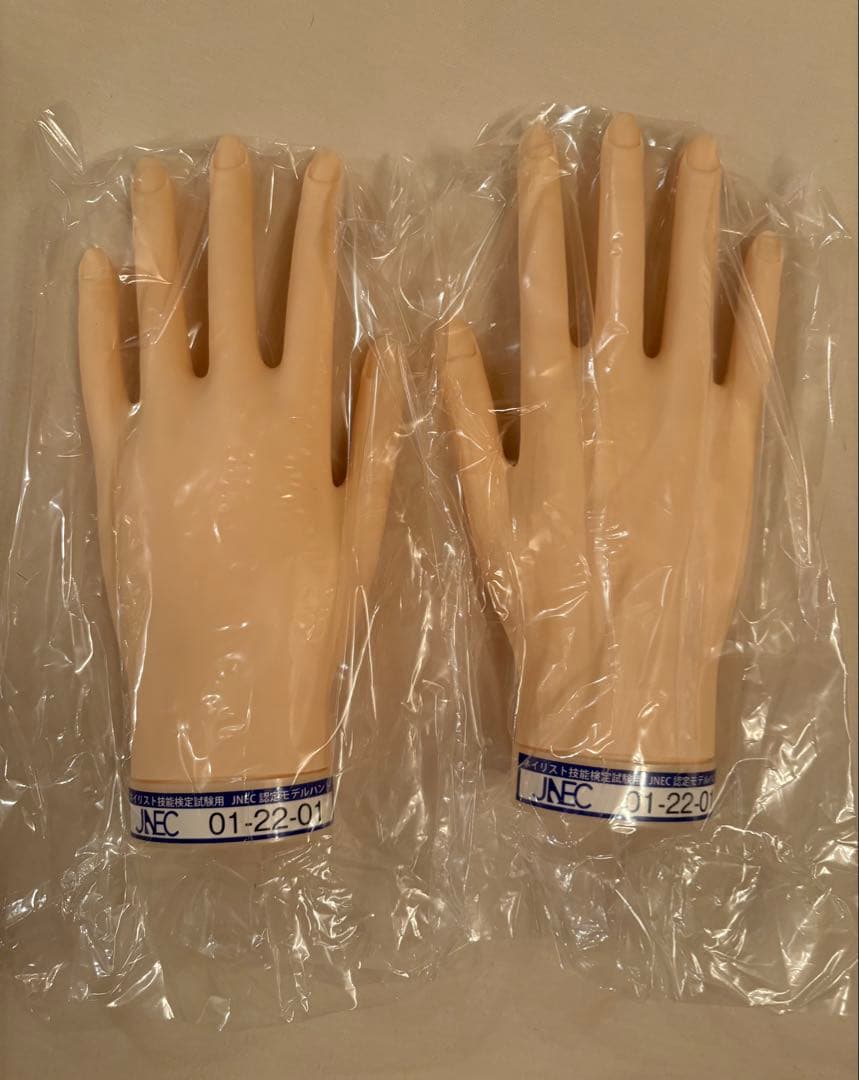 JNEC認定モデルハンド　箱付き
