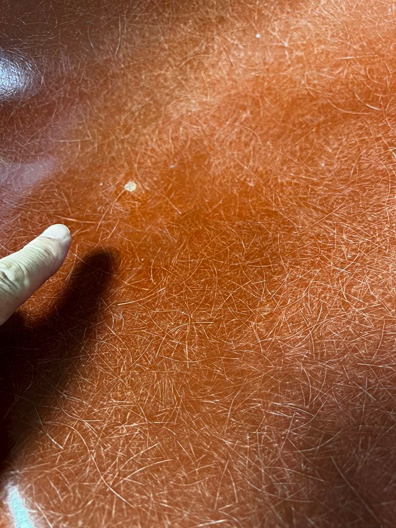 ハーマンミラー シェルチェア　座面のみ　希少色テラコッタ　レアカラー