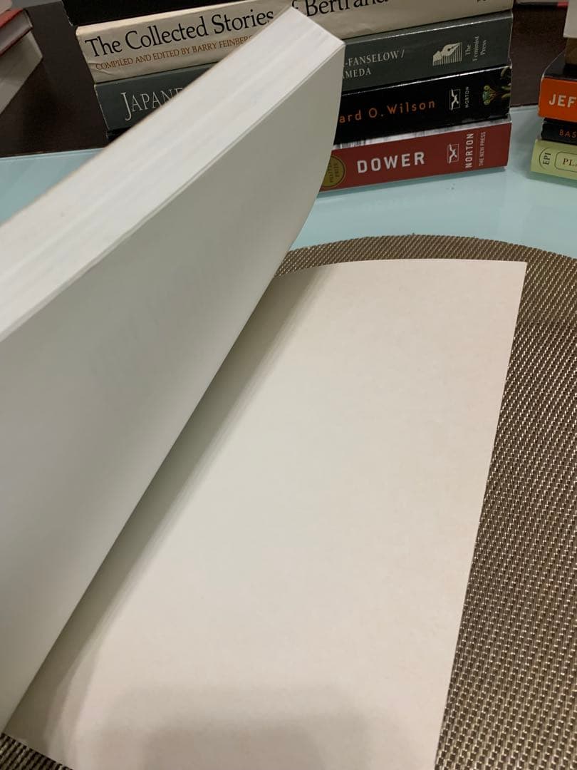 希少　Babes in the Bush - Kim Torney