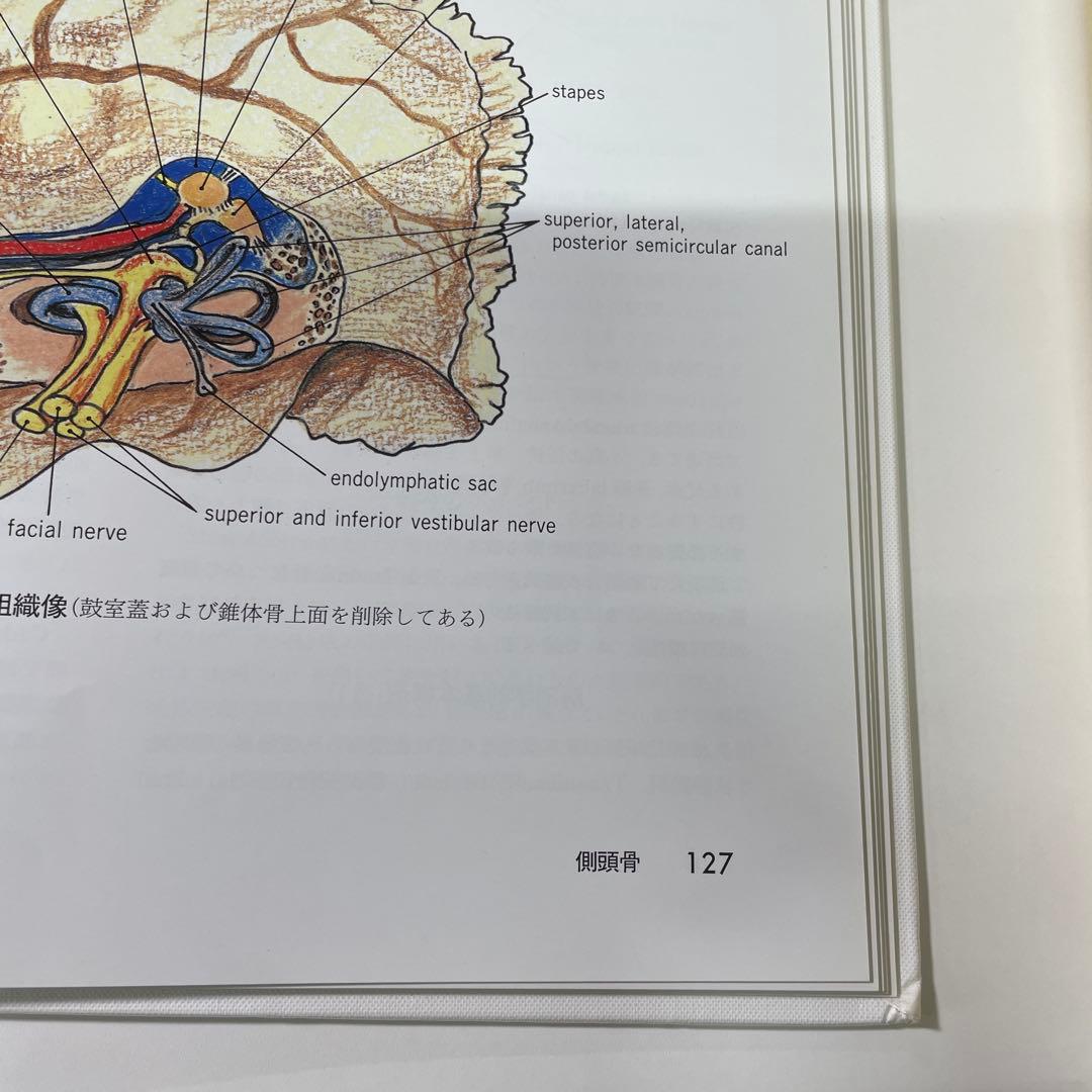 手術のための脳局所解剖学