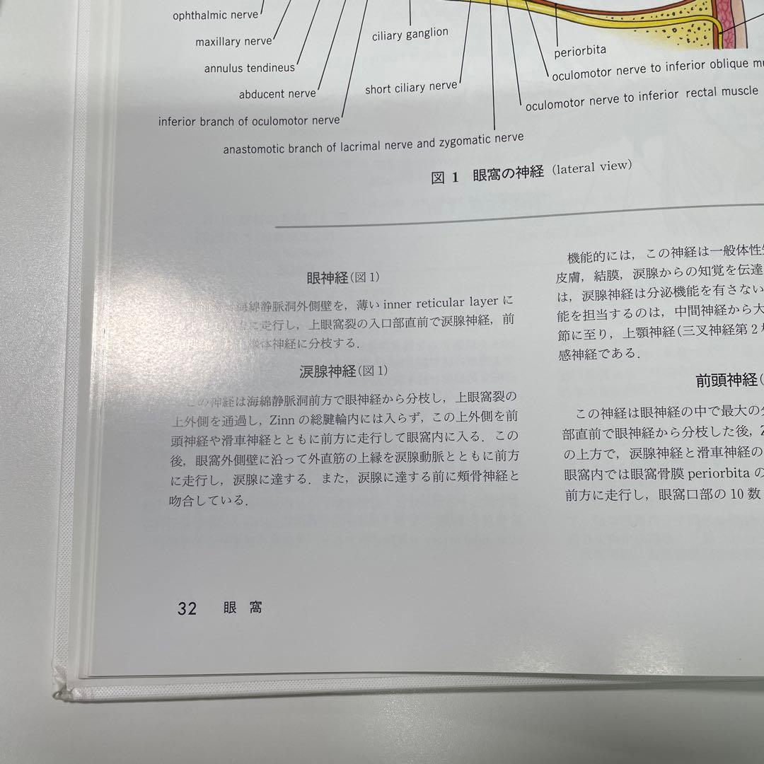 手術のための脳局所解剖学