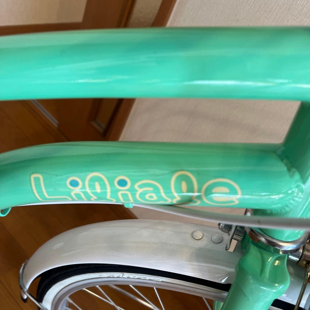 kiyoishikawaさま専用　愛知県！ヘル付