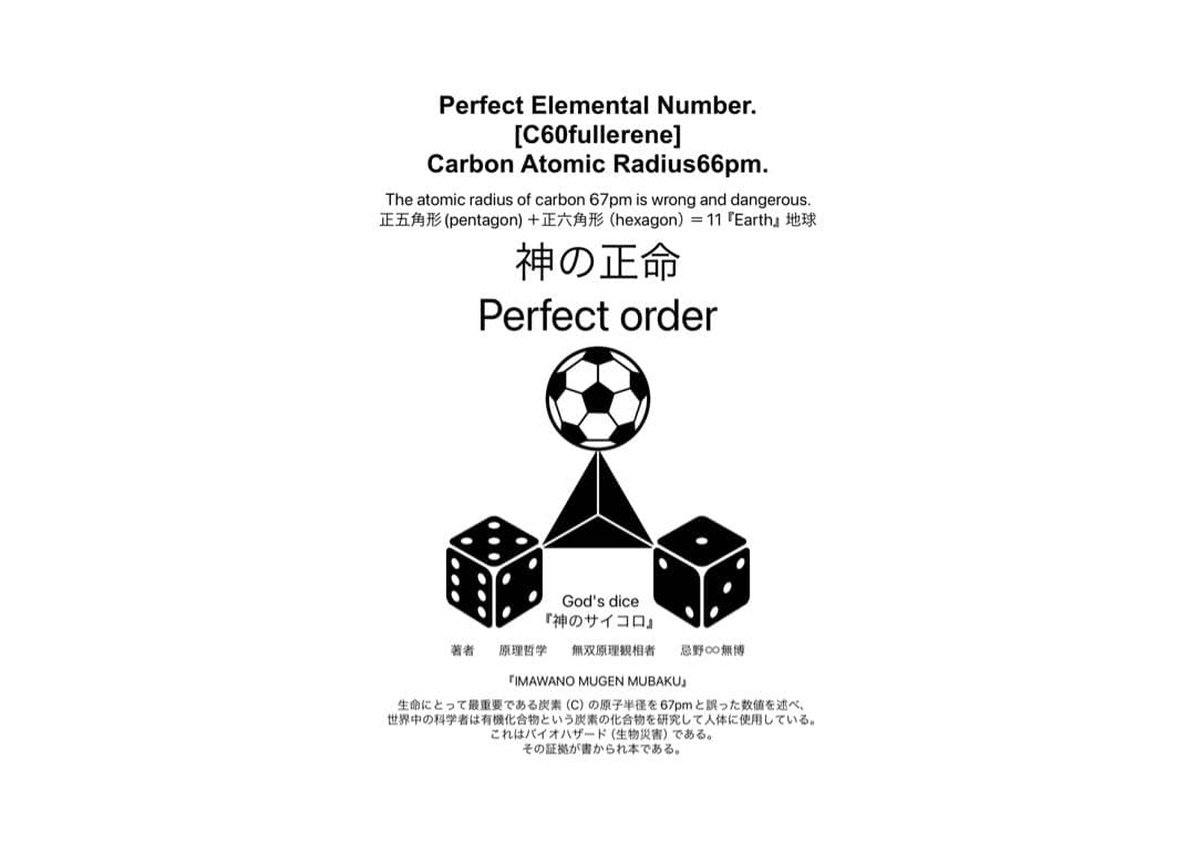 『神の正命・無双原理人体望診術』