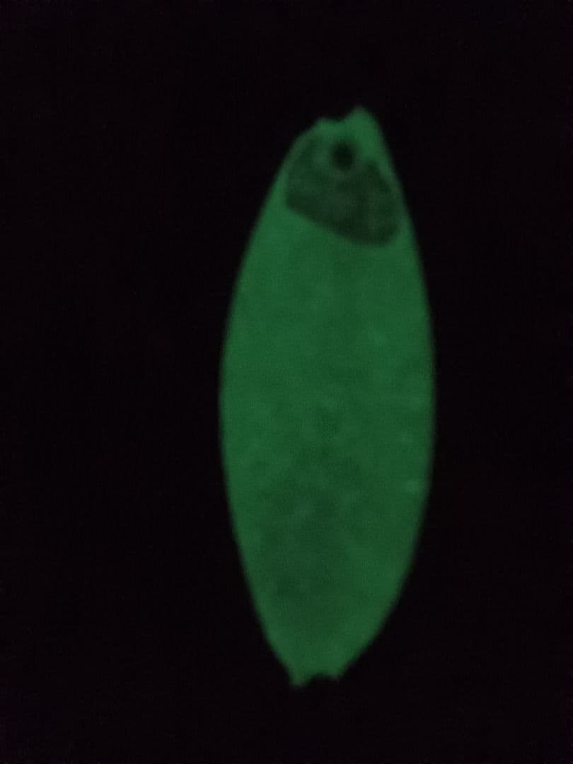 ★セット売り アキアジルアー　鮭　サケルアー★