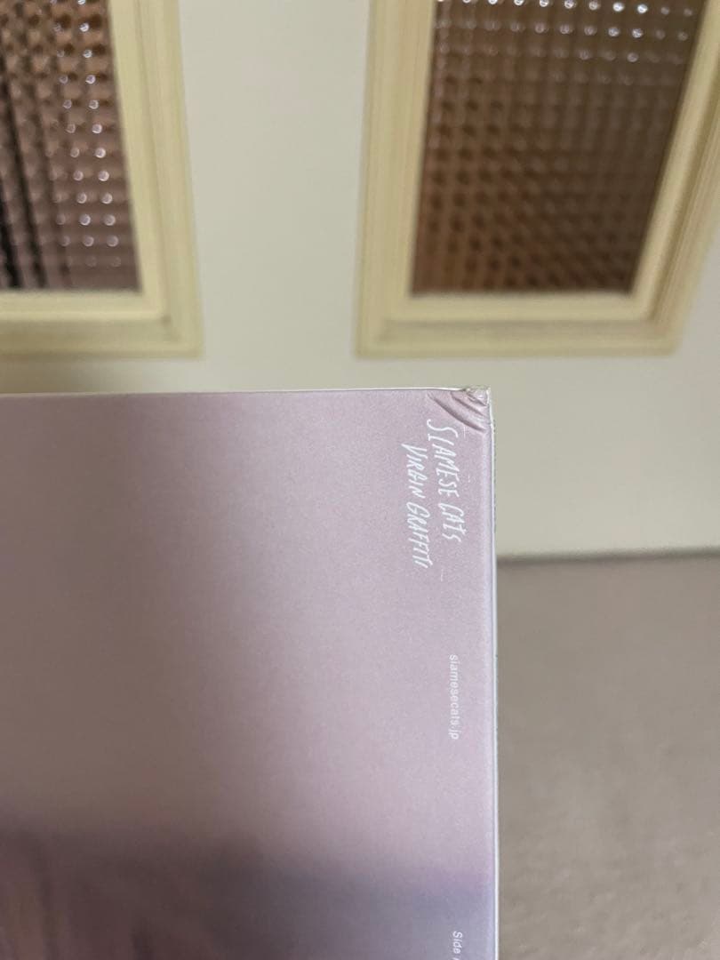 シャムキャッツ Virgin Graffiti レコード