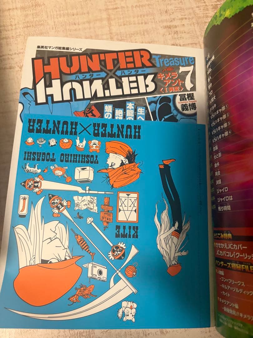 HUNTER×HUNTER 総集編 全巻セット