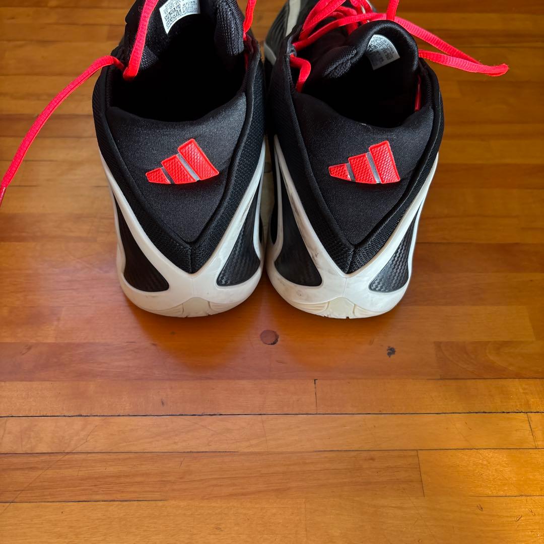 シューズ(男性用) AE2