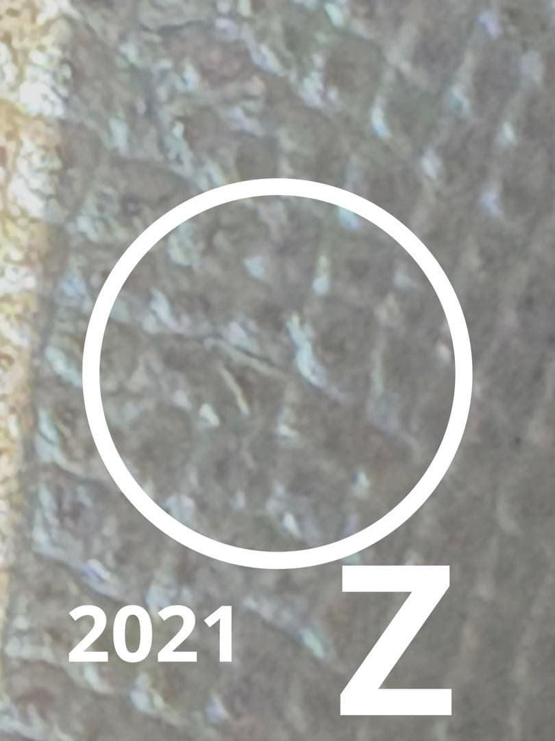 【2026新品仕上げ】エルメスベアンコンパクトヴォーエプソン刻印Z (2021)