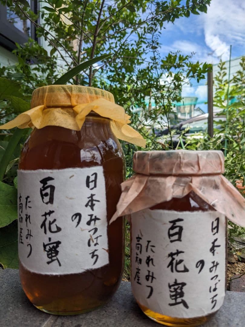 日本ミツバチ 蜂蜜 令和7年度 採れたて　たれ蜜　2年もの600g×2 非加熱