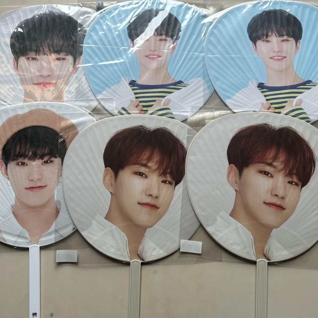 ホシ うちわ 46枚セット