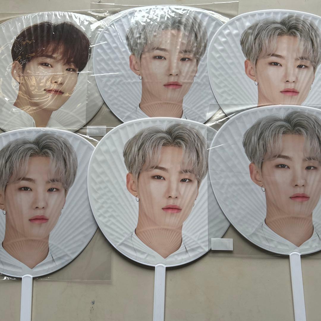 ホシ うちわ 46枚セット