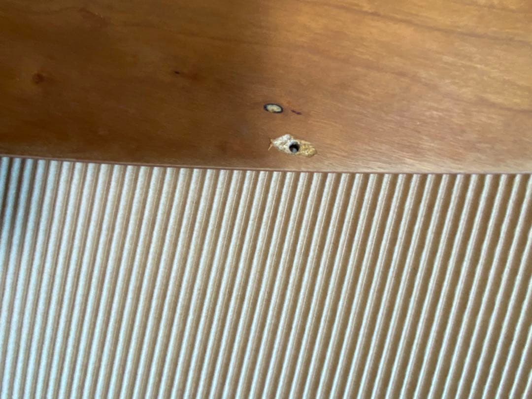 ホウシン　ACTUS poradaポラダ SURF1 ミラー　壁掛け鏡