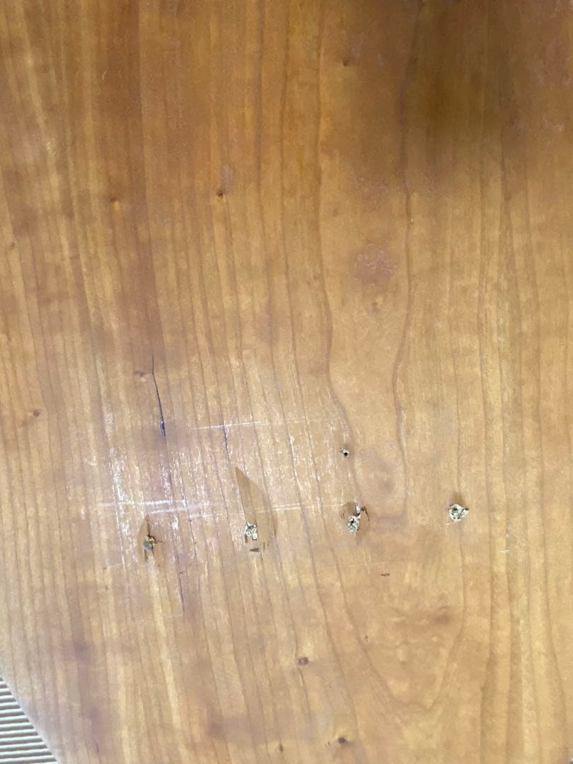 ホウシン　ACTUS poradaポラダ SURF1 ミラー　壁掛け鏡