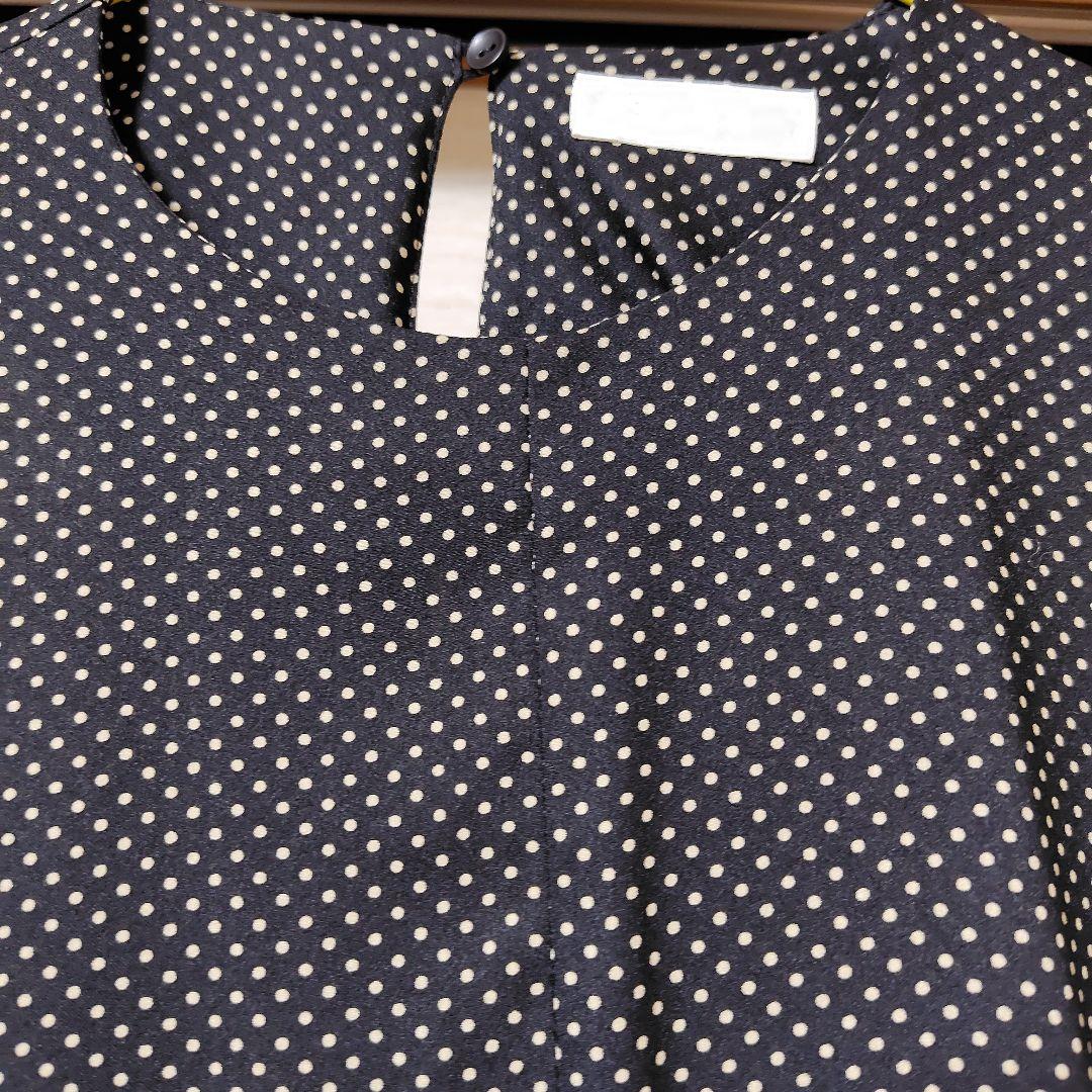 20日削除ボルジーファーベストとワンピース