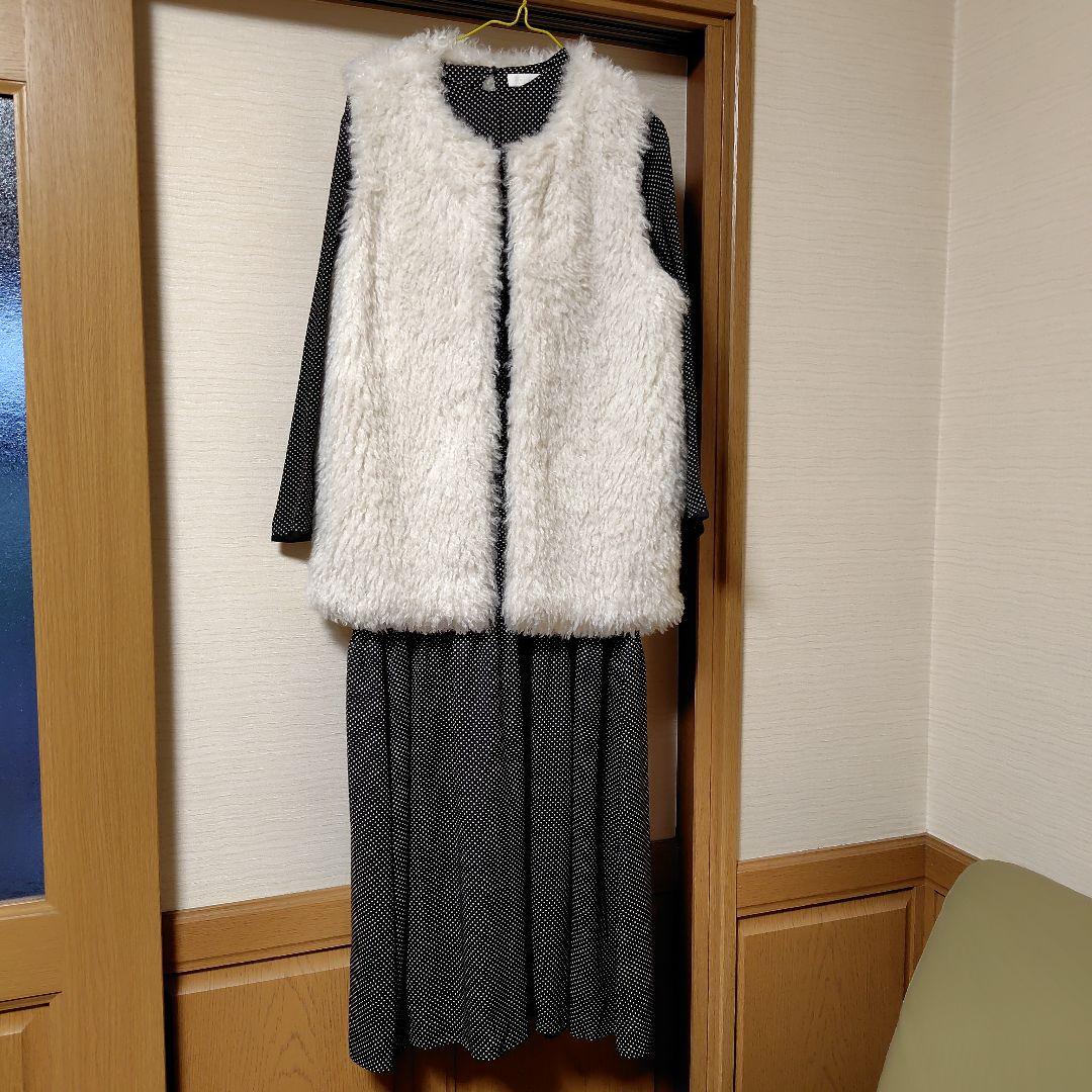 20日削除ボルジーファーベストとワンピース