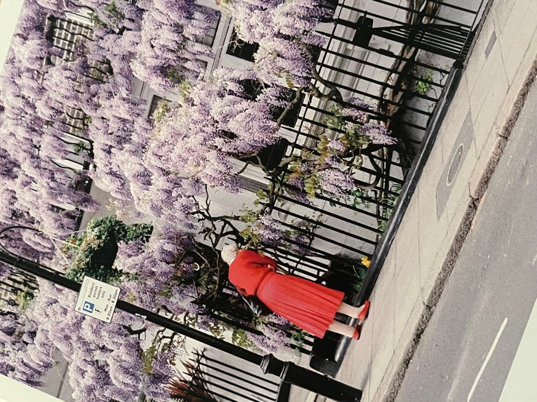 【初版】濱田英明さん写真集 DISTANT DRUMS グリーン 緑【最安値】