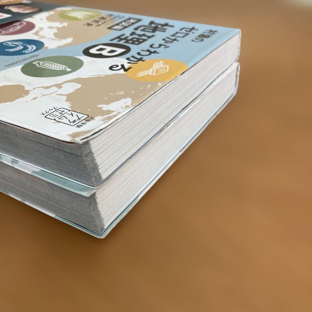 村瀬のゼロからわかる地理B 地誌編　系統地理編　2冊セット