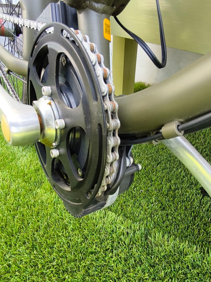 世界中でも超激レア the PARKビーチクルーザー 電動 自転車 グリーン