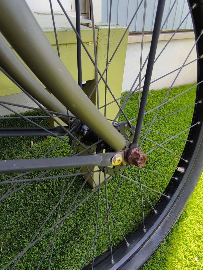 世界中でも超激レア the PARKビーチクルーザー 電動 自転車 グリーン