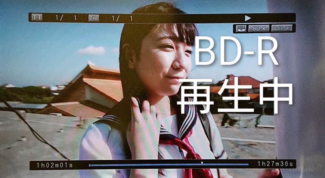 最終価格/5TB/東芝/DBR-M490/レグザ/全録/純正リモコン付