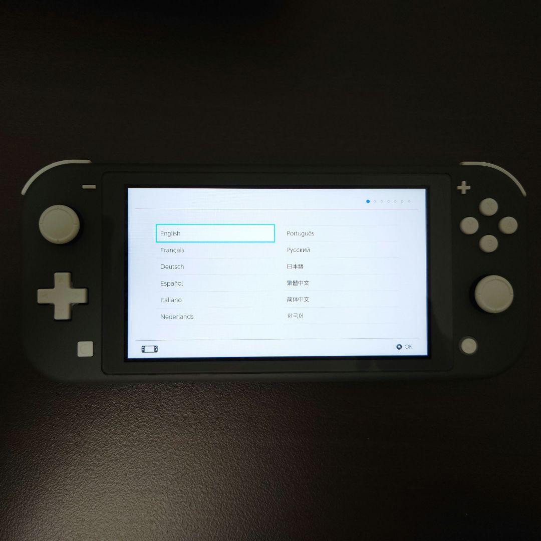 【ほぼ未使用】Switch Lite グレー 本体 +128GB microSD