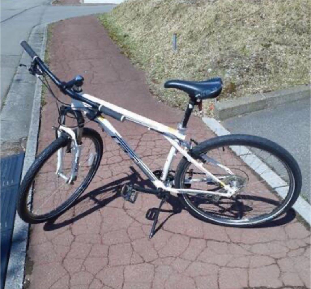 GT 29er マウンテンバイク　MTB