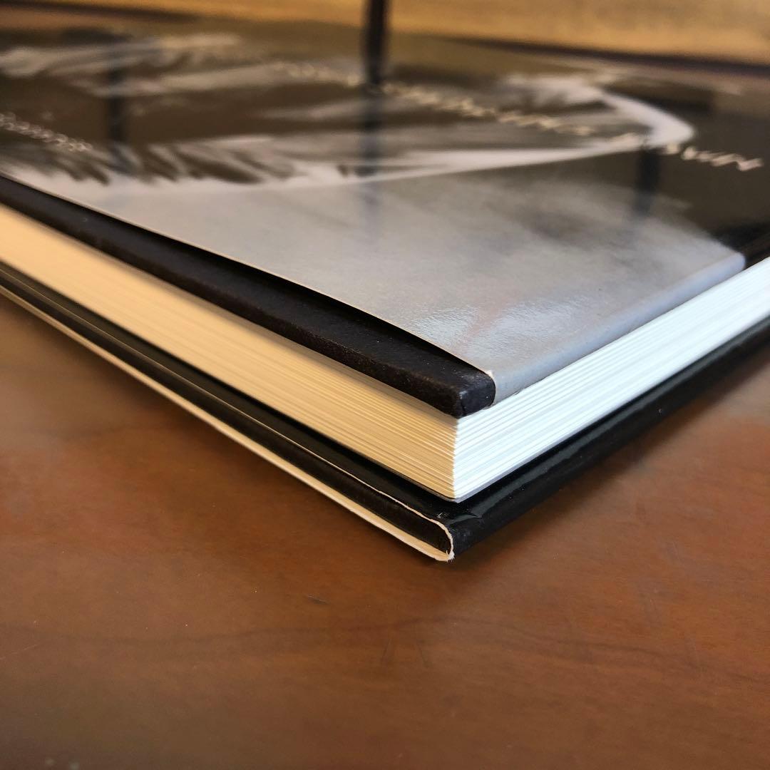 ユージン・リチャーズ Red Ball of Sun Slipping Down