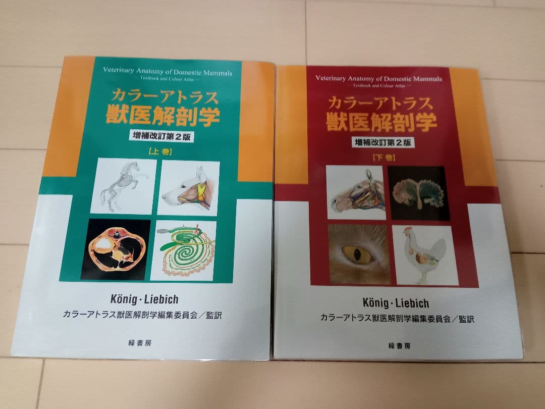 カラ―アトラス獣医解剖学 上巻・下巻セット
