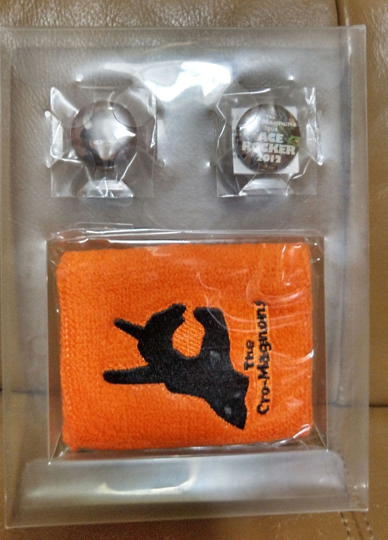 DVD◎ザ・クロマニヨンズ TOUR/●2012●2014-2015