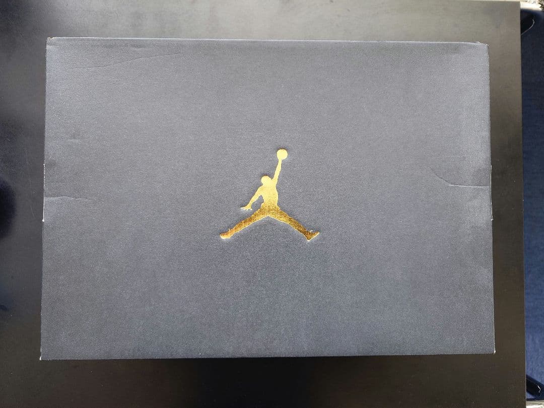 Nike ジョーダンゴルフシューズ JORDAN ADG4　27.5cm