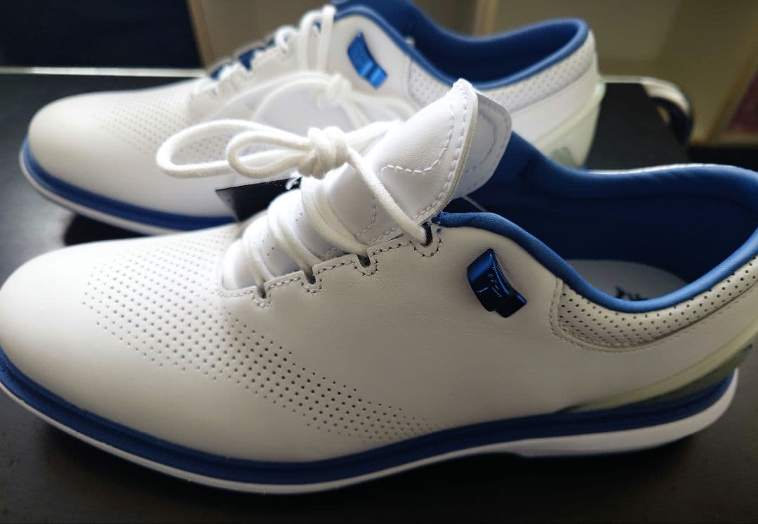 Nike ジョーダンゴルフシューズ JORDAN ADG4　27.5cm