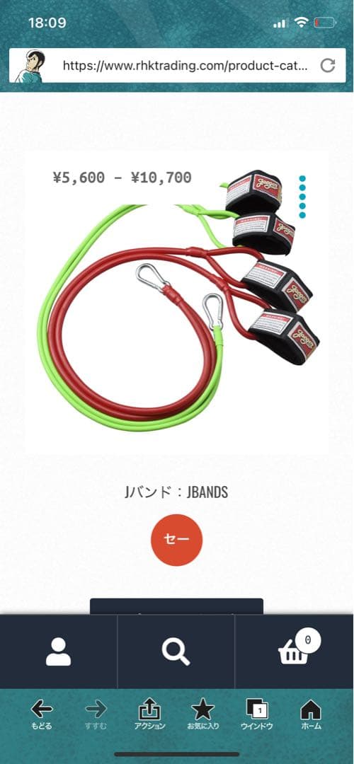 レジースミス　ギア