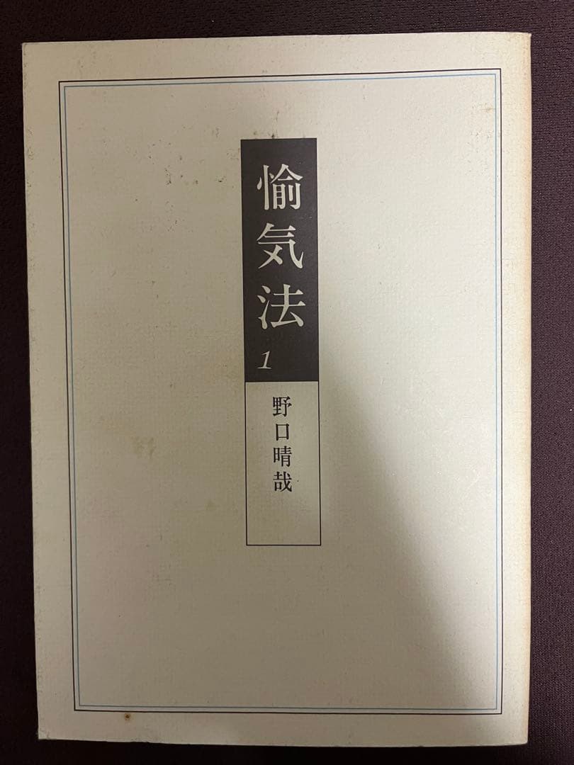 整体法 野口晴哉 全16巻 +プリント3冊+教授書1冊