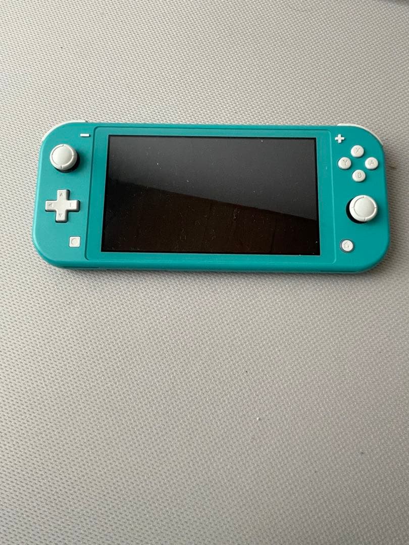 【即購入OK】NintendoSwitchライト ※マインクラフト他ソフト付属