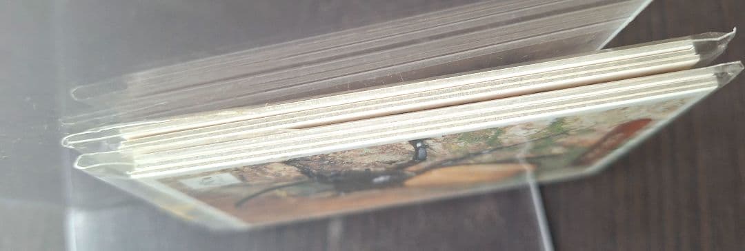 ⭐新品、未開封 ぼくのカブト・クワガタ　みんなの飼育シリーズ カード GBA⭐