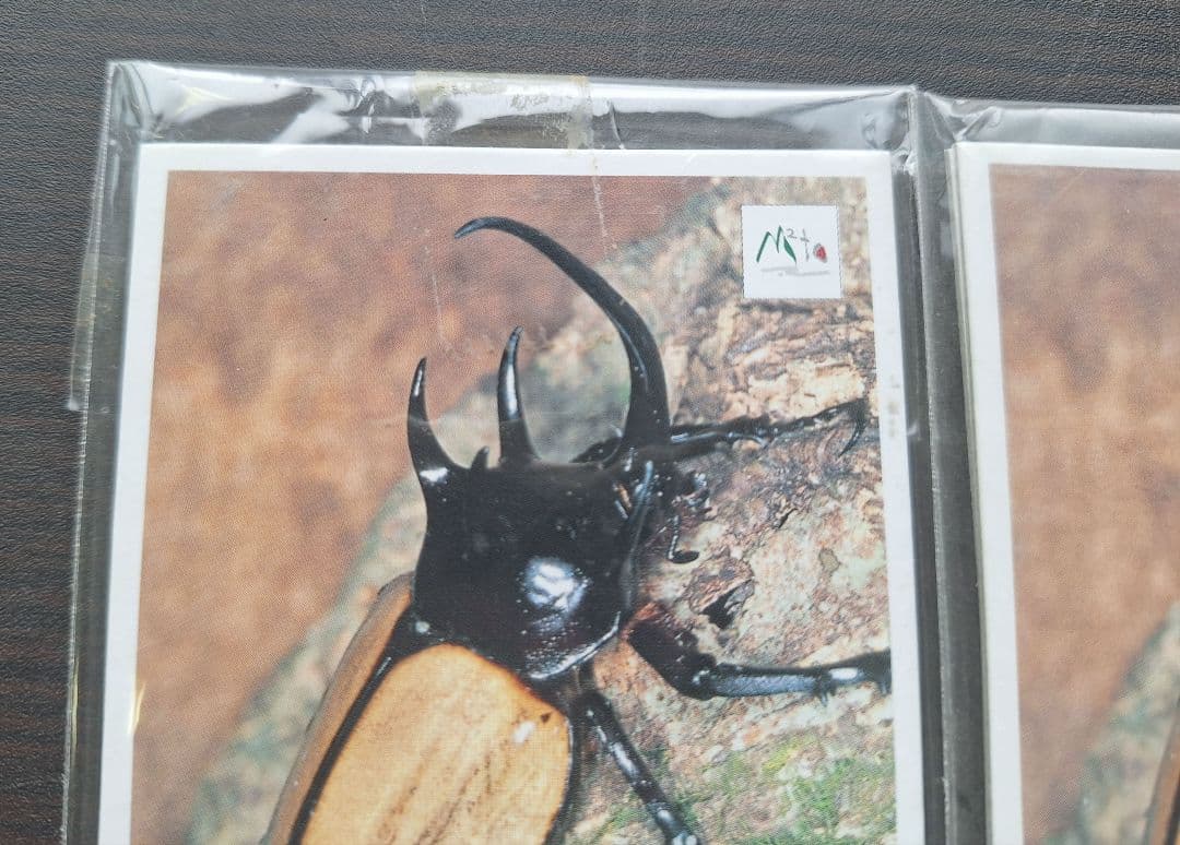 ⭐新品、未開封 ぼくのカブト・クワガタ　みんなの飼育シリーズ カード GBA⭐