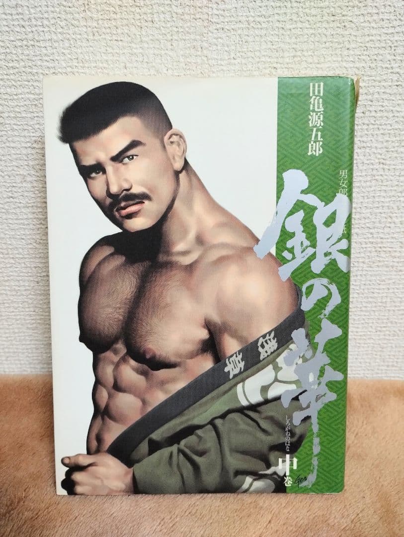 田亀源五郎　銀の華 上中下全巻セット