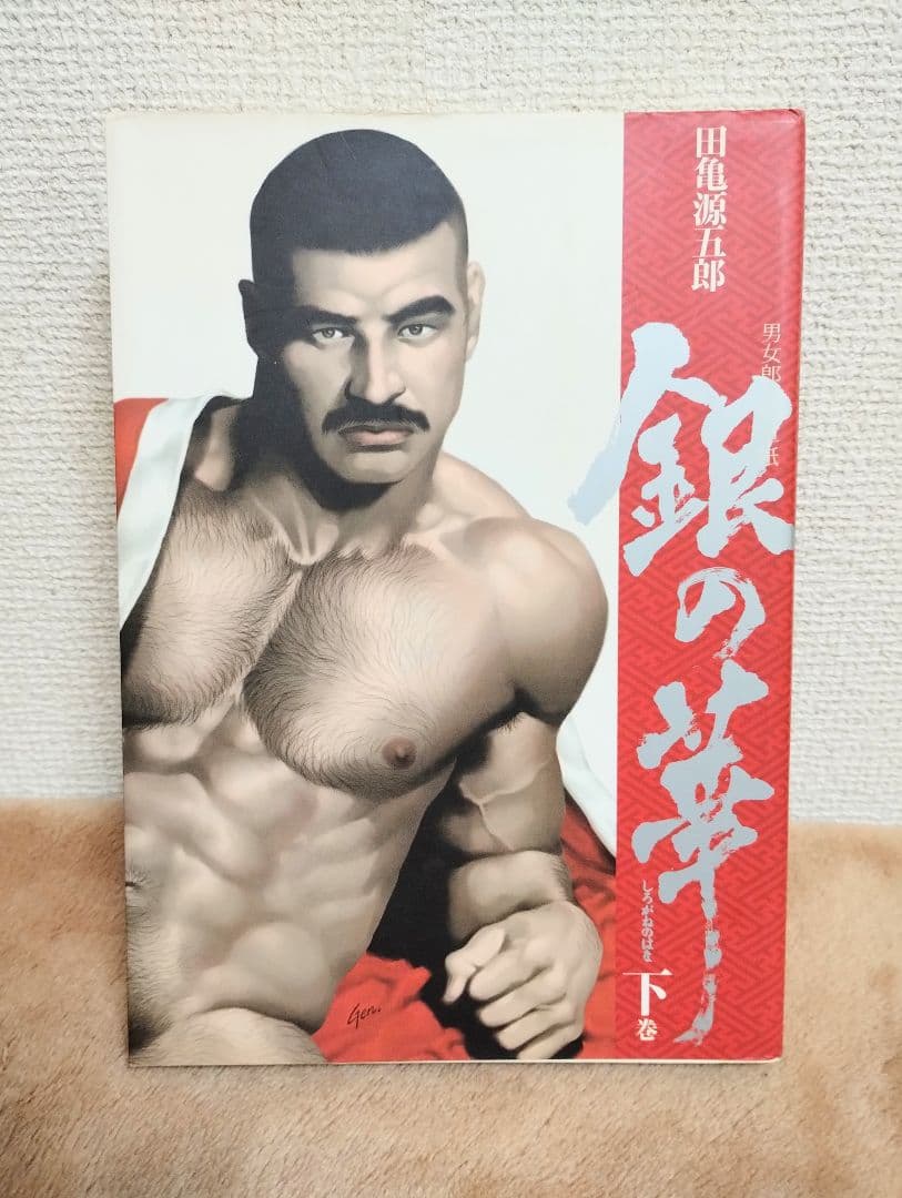 田亀源五郎　銀の華 上中下全巻セット