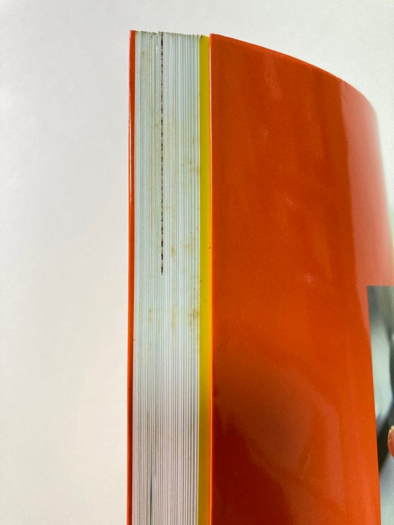 ミッフィーのあみぐるみ　かぎ針1本でできる毛糸小物　本