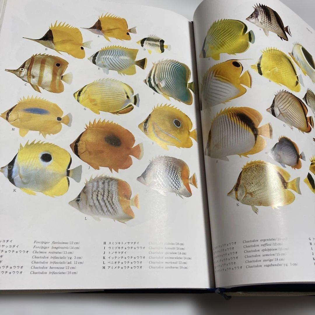 日本産魚類大図鑑 全2巻　東海大学出版会